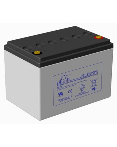 LEOCH LPG 12-60. Аккумулятор герметичный свинцово-кислотный. LEOCH в Нефтекамске