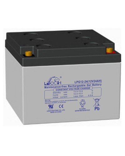 LEOCH LPG 12-24. Аккумулятор герметичный свинцово-кислотный. LEOCH в Нефтекамске